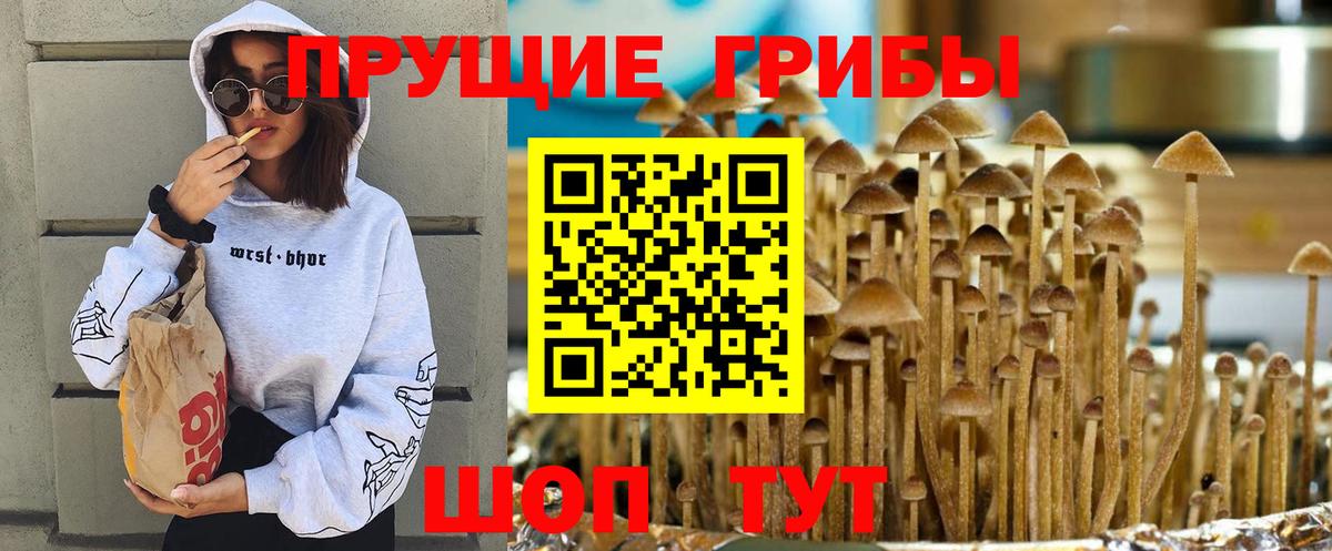 Псилоцибиновые грибы GOLDEN TEACHER  Вход с VPN  Псилоцибиновые грибы ЛСД  Азов 