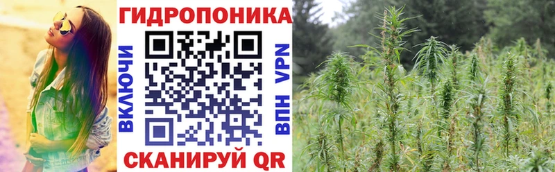 где купить   Азов  darknet официальный сайт  Бошки Шишки White Widow 